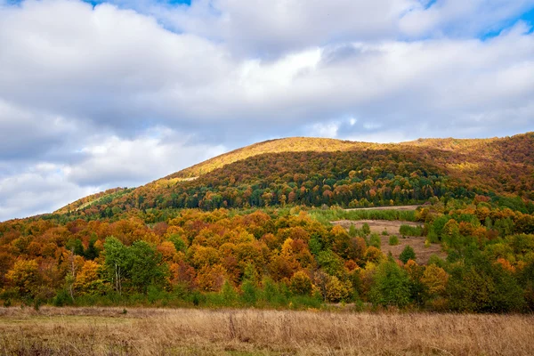 Berglandschaft mit Wolken und bunten Bäumen — Stockfoto