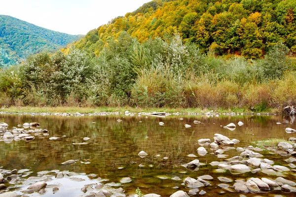 Rivière de montagne avec des arbres colorés d'automne — Photo