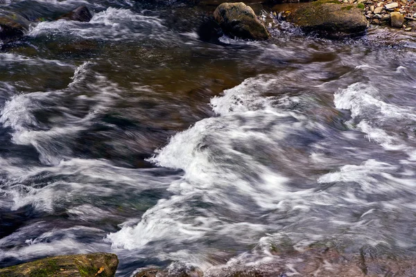 Mountain stream river with rapids — Stock Photo, Image