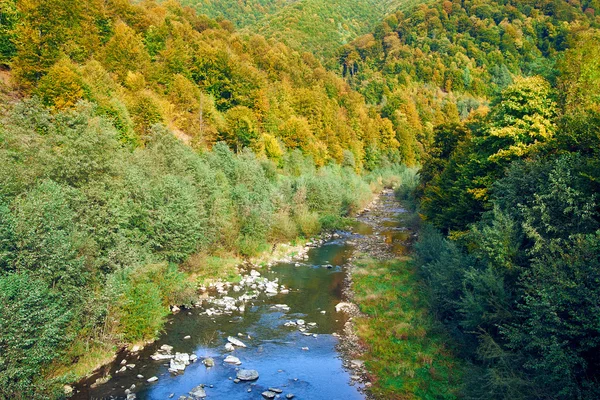 山区河流中深峡谷与秋天的彩色树木 — 图库照片