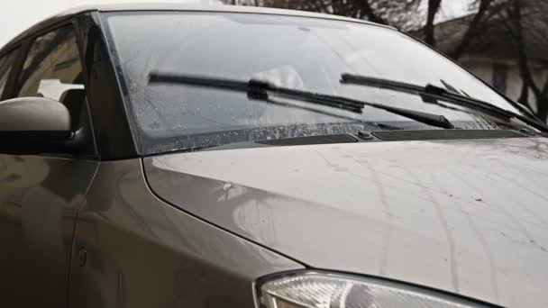 Windscreen windshield wipers in motion — Stock Video