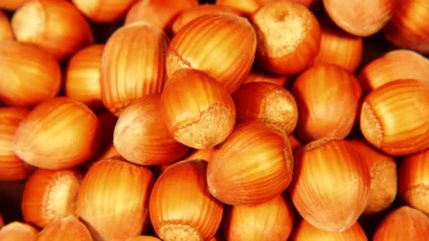 Looped: pile of shelled hazelnuts spinning slowly — Stock Video