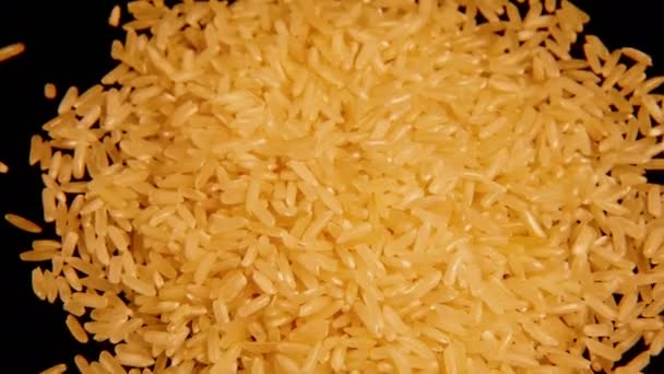 Looped: dry raw rice paddy grains spinning slowly — Stock Video