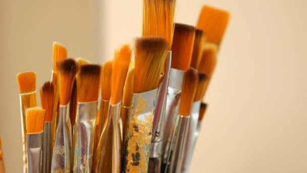 Set of paint brushes close-up. Art studio concept. — Stock Video