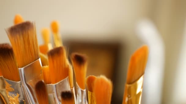 Set of paint brushes close-up. Art studio concept. — Stock Video