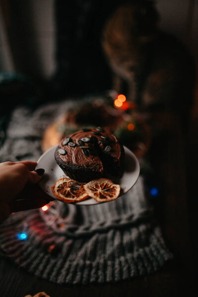 Close Woman Holding Tasty Homemade Christmas Cake Stock Image