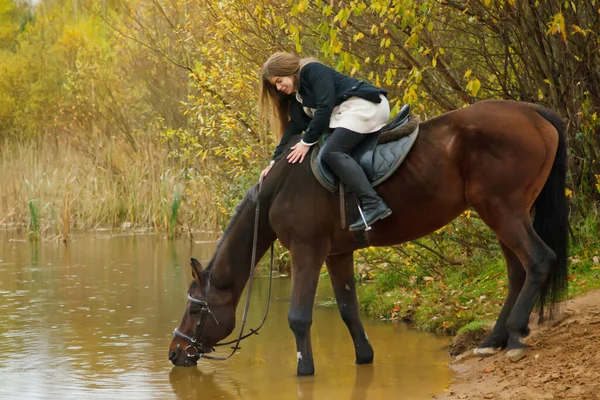 Bonita Jovem Mulher Cavalo Floresta Outono Por Lago Cavalo Bebe — Fotografia de Stock