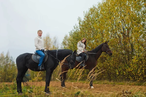 Casal Jovem Bonito Cavalo Floresta Outono Estrada Rural Cavaleiros Outono — Fotografia de Stock