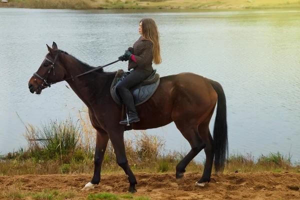 Mulher Jovem Bonito Cavalo Floresta Outono Por Lago Rider Fêmea — Fotografia de Stock