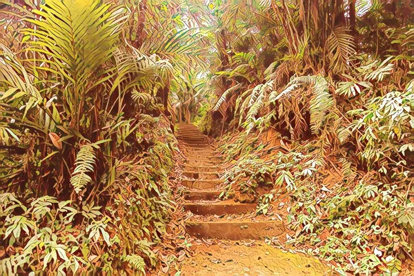 Ancien Escalier Pierre Dans Jungle Étapes Dans Belle Vieille Forêt — Photo