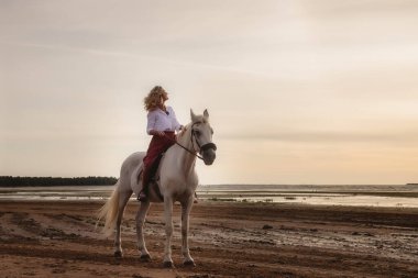 Yaz plajında deniz kenarında at sırtında sevimli, mutlu bir genç kadın. Sürücü dişi, akşam günbatımında atıyla doğada yolculuk ediyor. Açık hava biniciliği, spor ve eğlence anlayışı. Boşluğu kopyala