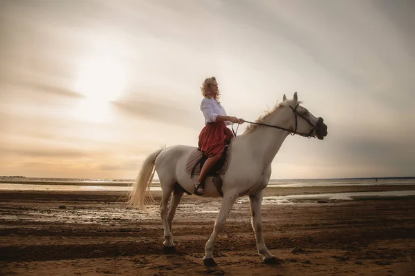 Cute happy young woman on horseback in summer beach by sea. Rider female drives her horse in nature on evening sunset light background. Concept of outdoor riding, sports and recreation. Copy space