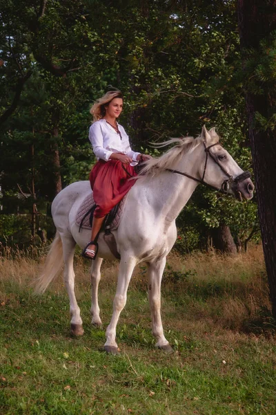 Bonito Cavalo Jovem Feliz Mulher Parque Verão Rider Fêmea Dirige — Fotografia de Stock