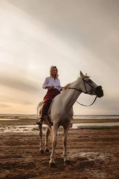 Mulher Jovem Feliz Bonito Cavalo Praia Verão Por Mar Rider — Fotografia de Stock