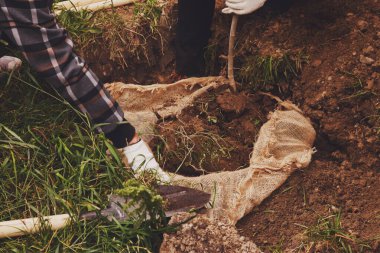 Genç, evli, iş üniformalı, yerde kürek ağacı fidanı olan bir çift. Toprağın seçkinleştirilmesi için arka plan. Peyzaj, doğa, çevre ve ekoloji kavramı. Boşluğu kopyala