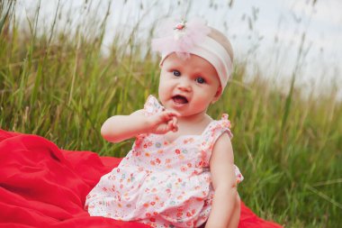 Şirin, mutlu, mavi gözlü, 8 aylık çimenlik bir kız. Eğitim için kavramsal fotoğraf, sağlıklı çocukluk, ebeveynlik, tasarım manzarası. Doğal yaz mevsiminde mükemmel bir Kafkas bebeği. Alan için kopyala