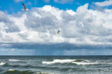 Atmosferik manzara dramatik Baltık denizi, dalgalar ve su dalgalanma sularına sıçrar. Deniz kıyısındaki doğa, kuzey bulutları. Kararsız hava koşulları, iklim değişikliği. Fırtınalı, soyut arka planlar