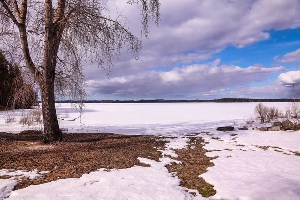 Large Image View Winter Forest Ice Lake Panoramic Landscape Snowy — Stock Photo, Image