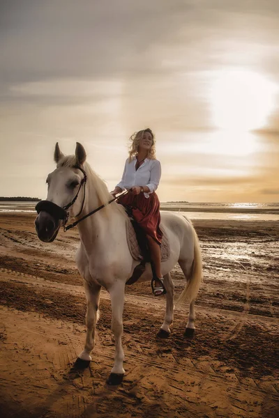 Cute happy young woman on horseback in summer beach by sea. Rider female drives her horse in nature on evening sunset light background. Concept of outdoor riding, sports and recreation. Copy space