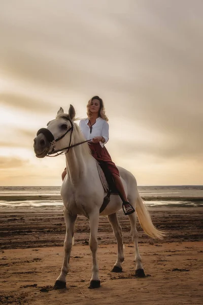 Mulher Jovem Feliz Bonito Cavalo Praia Verão Por Mar Rider — Fotografia de Stock