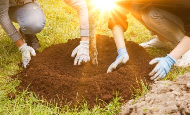 İş üniformalı genç insanlar ellerinde kürek, yerde ağaç fidanı var. Toprağın seçkinleştirilmesi için arka plan. Peyzaj, doğa, çevre ve ekoloji kavramı. Boşluğu kopyala