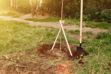 Ev bölgesindeki kentsel bir çevrede ağaç fidanı diktim. Şehrin seçkinleştirilmesi için arka plan. Peyzaj, doğa, çevre ve ekoloji kavramı. Boşluğu kopyala