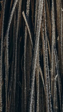 Çimenler buzla kaplı.