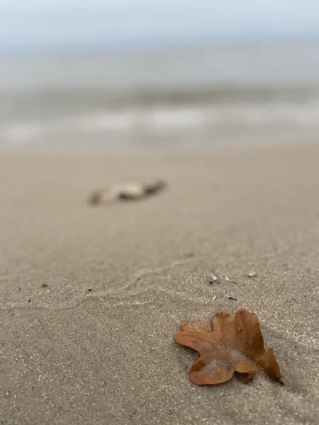 Piasek Plaży Pięknym Tłem — Zdjęcie stockowe