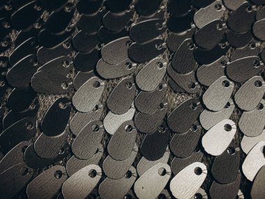 arkaplan olarak gümüş pullar