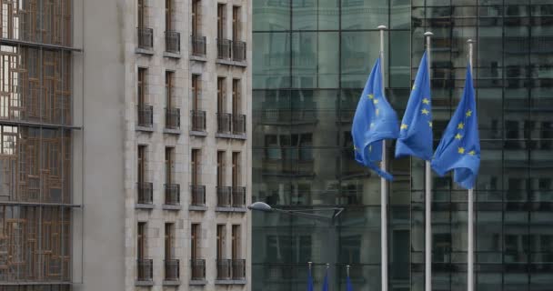 Brussel België Januari 2021 Europese Vlaggen Wapperen Wind Voor Een — Stockvideo