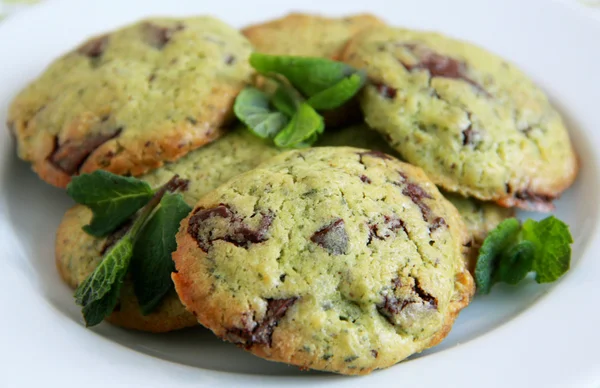 Mint cookies met chocolade — Stockfoto