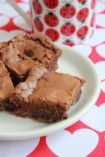 Cseresznye brownies — Stock Fotó