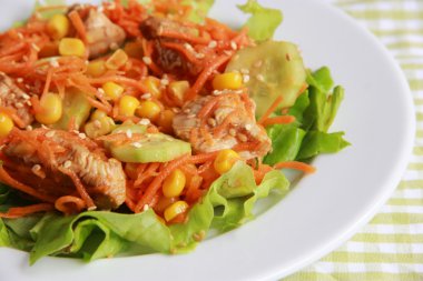 Sebzeli tavuk salatası