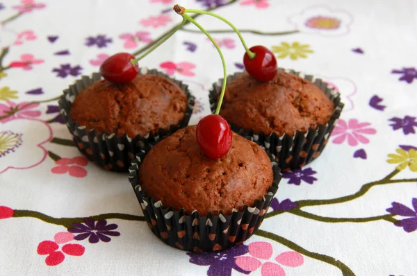 Chocolate and cherry muffins — Stock Photo, Image