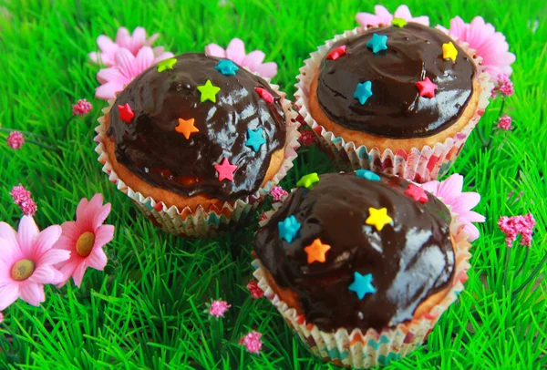 Banana muffins with chocolate frosting — Stock Photo, Image