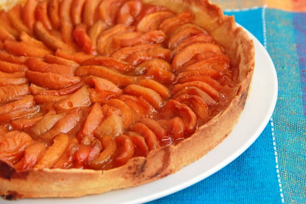 Torta de damasco na placa — Fotografia de Stock