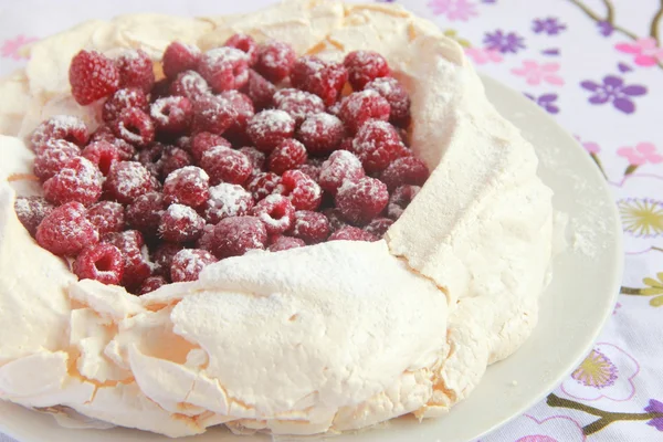 Meringue Pavlova с малиной — стоковое фото