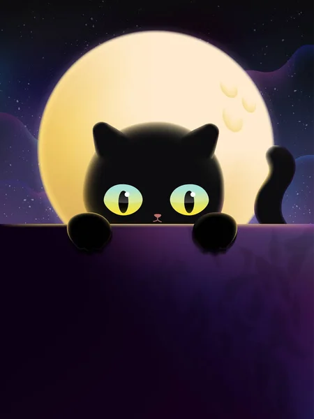 Ay Işığı Görünümü Altında Kara Kedi.