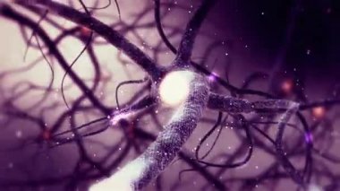 Animasyon gerçek nöron synapse ağ. Tam HD insan beyin içindeki sonsuz döngü