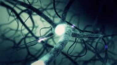 Yeşil nöron synapse ağ 3d animasyon ışık ışınları ve bilgi aktarır. İnsan beyninin içinde sonsuz döngü.