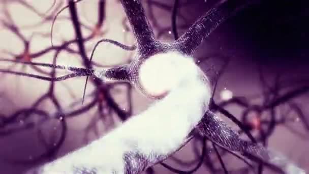 Animazione della rete sinapsi del neurone reale. Loop infinito all'interno del cervello umano in Full HD — Video Stock