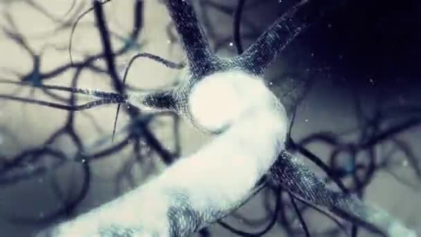 Real Neuron red sinapsis animación 3D. Infinito bucle dentro del cerebro humano en Full HD — Vídeos de Stock