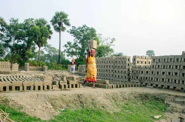 Hooghly bölgesinde 12 Aralık 2020 'de Hooghly West Bengal Hindistan' da bir tuğla fırının resmi. Yetişkin işçiler fırındaki çiğ tuğlaları pişirmek için çok çalışıyorlar..