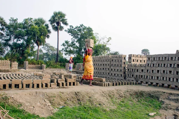 Hooghly bölgesindeki bir tuğla fırınının resmi. Yetişkin işçiler fırındaki çiğ tuğlaları pişirmek için çok çalışıyorlar..