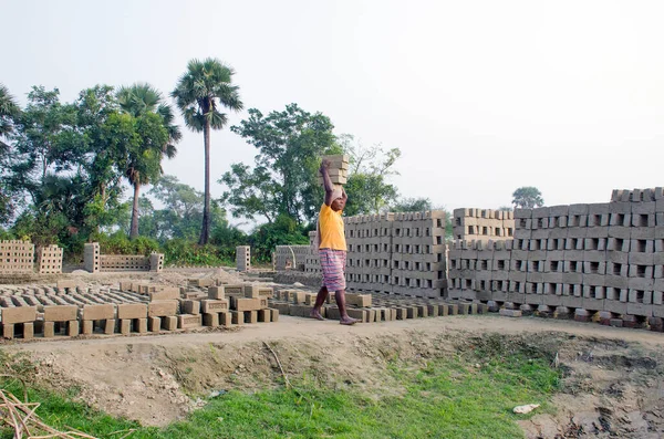 Hooghly bölgesindeki bir tuğla fırınının resmi. Yetişkin işçiler fırındaki çiğ tuğlaları pişirmek için çok çalışıyorlar..