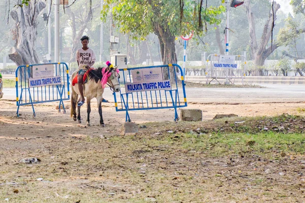 2012 Kolkata West Bengal India December 2020 Kolkata Maidan — 스톡 사진