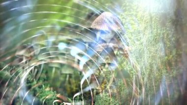 Enerjiyi gevşet. Parlak parçacıklardan oluşan bir akım. Parlak parçacıklardan oluşan bir akım. Işık efektleri hareket ediyor ve soyut tarzda esnek çizgiler çiziyor. kar enerjisi meditasyonu