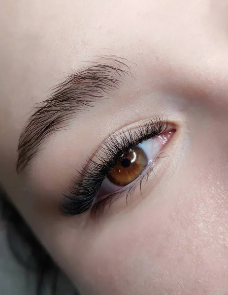 Lash Extensions Beauty Salon Macro Eye — Stock Photo, Image