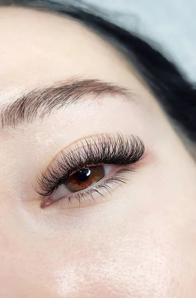 Lash extensions in beauty salon  macro eye