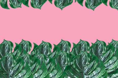 Monstera leaves Seamless tropical and summer pattern with exotic leaves